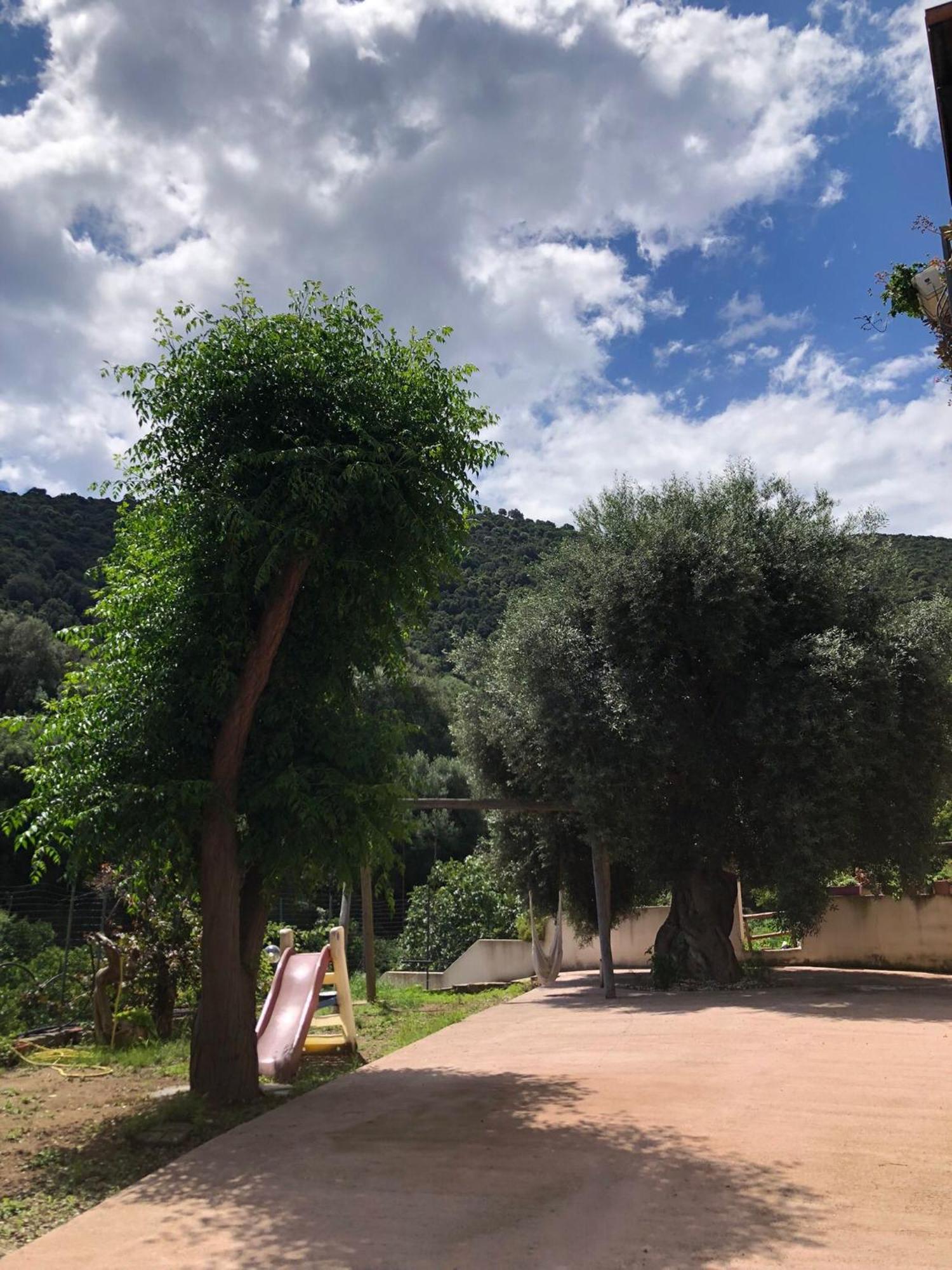 Appartamento Maremontagna 카데두 외부 사진